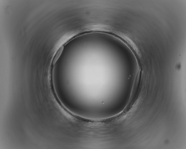 X0000091231285200708161709