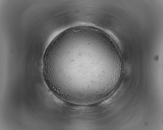 X0000091231287200708161709