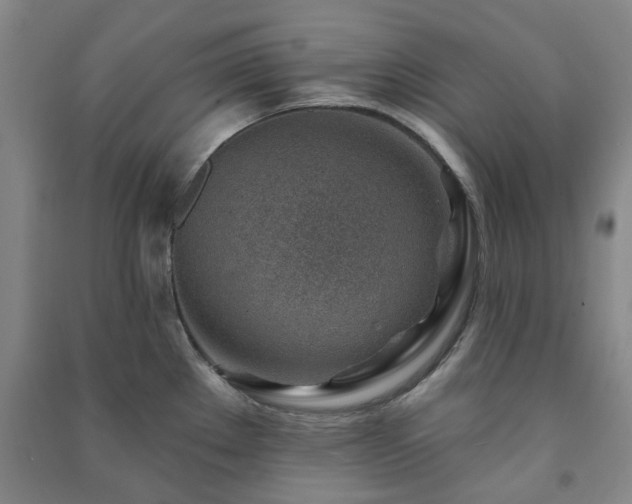 X0000091231289200708161709