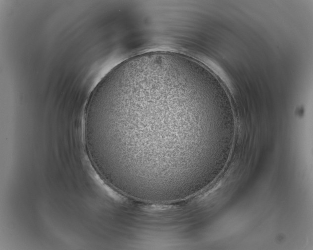 X0000091231290200708161709