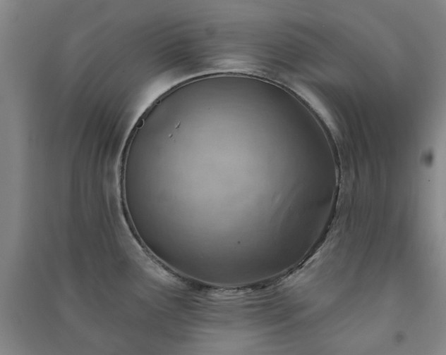 X0000091231291200708161709