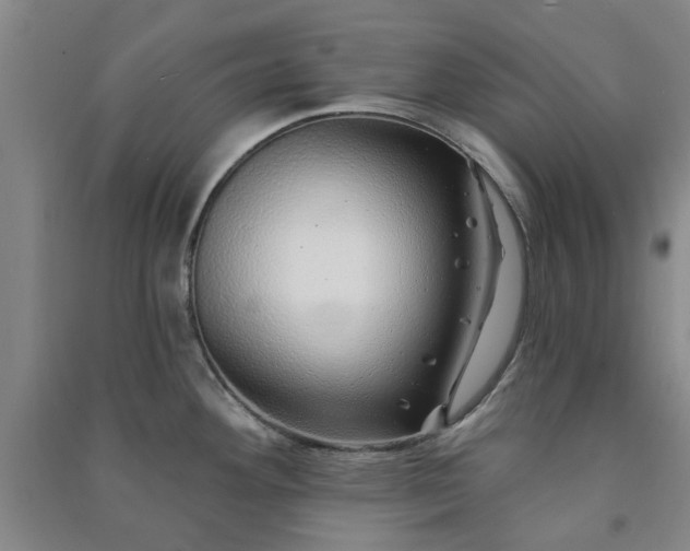 X0000091231292200708161709