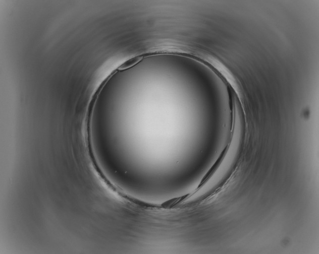 X0000091231293200708161709