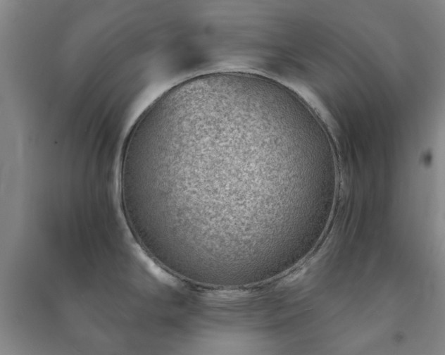X0000091231294200708161709
