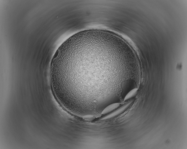 X0000091231295200708161709