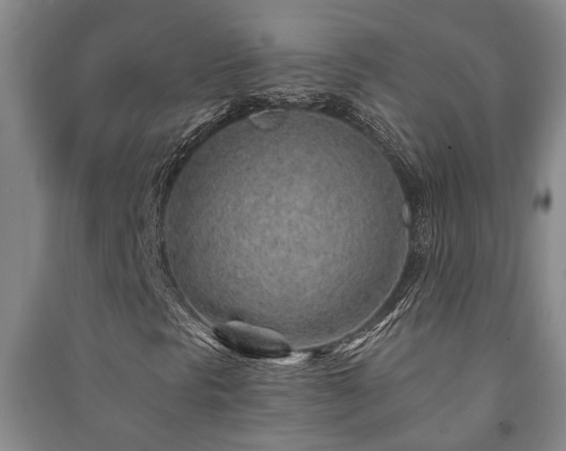 X0000091231297200708161708