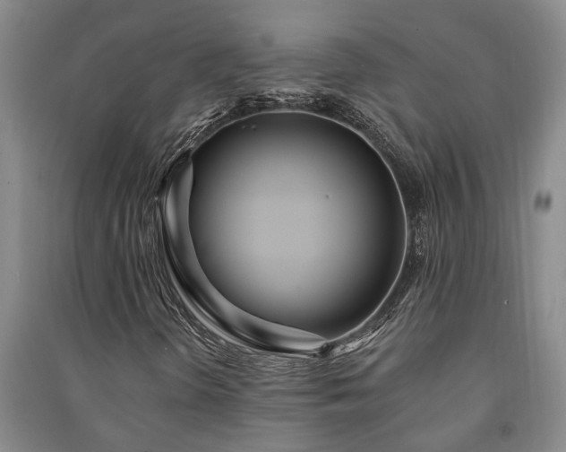 X0000091231298200708161708