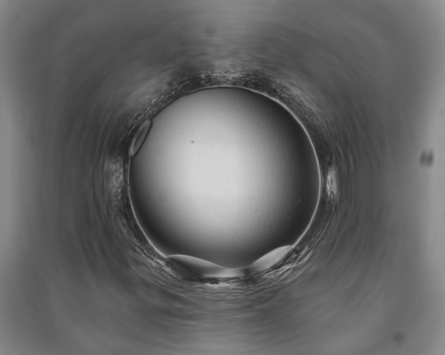 X0000091231299200708161708