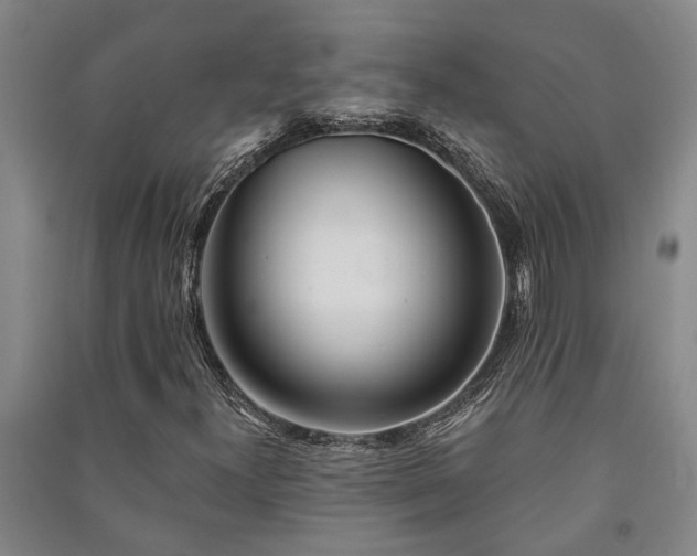 X0000091231300200708161708