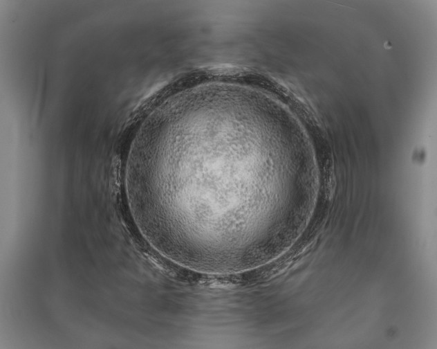 X0000091231301200708161708
