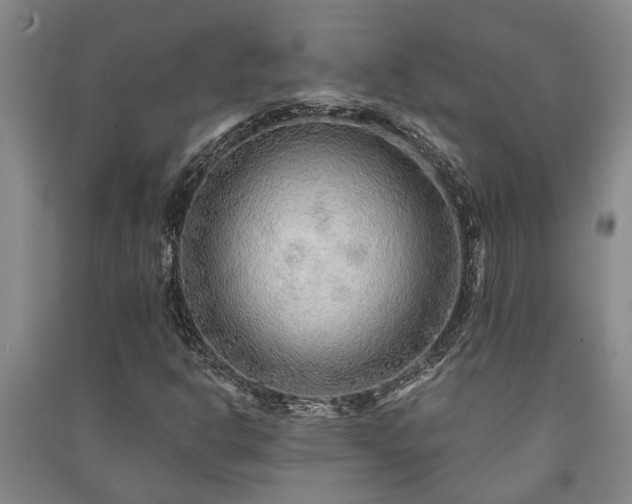 X0000091231302200708161708