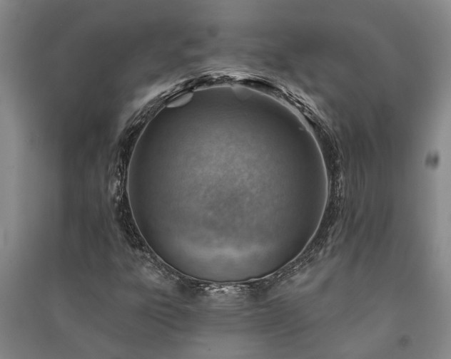 X0000091231303200708161708