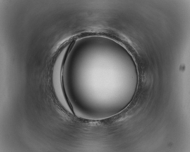X0000091231304200708161708