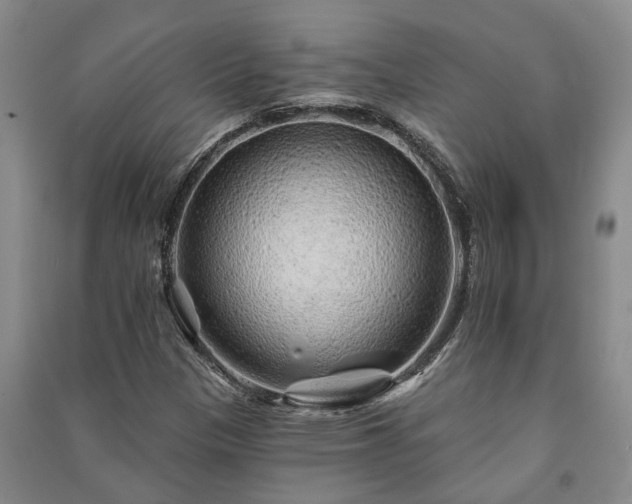 X0000091231305200708161708
