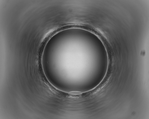 X0000091231307200708161708