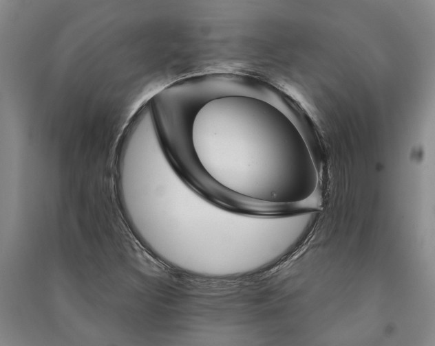 X0000091231308200708161708