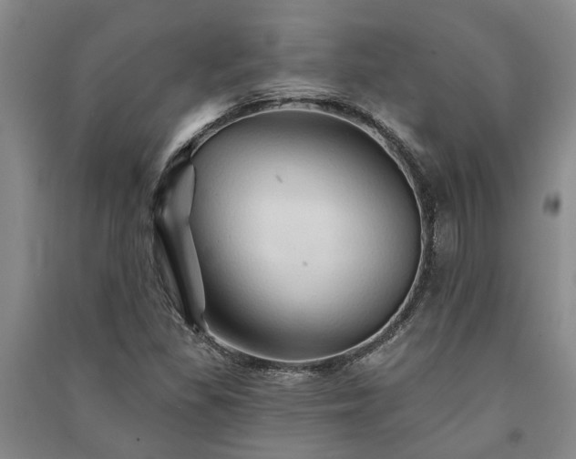 X0000091231309200708161708