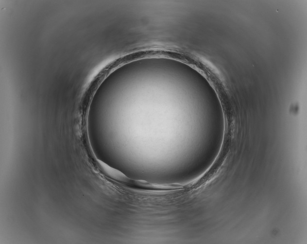X0000091231310200708161708