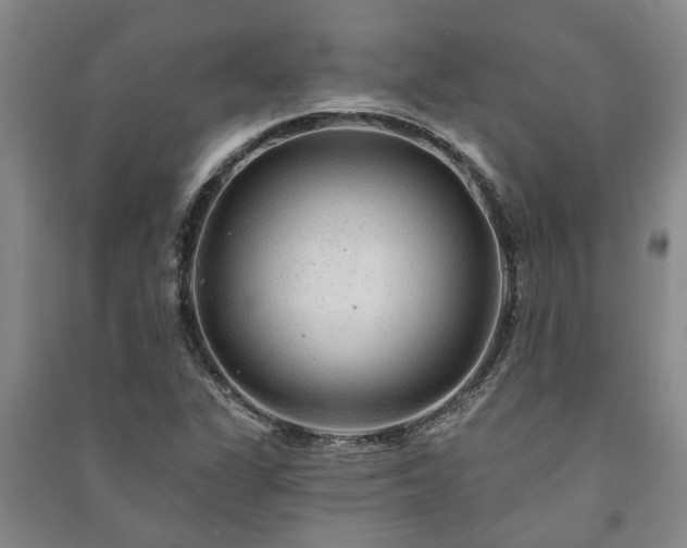 X0000091231311200708161708
