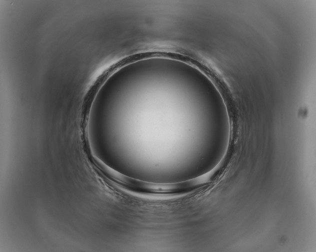 X0000091231312200708161708