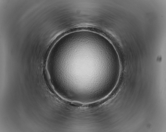 X0000091231313200708161708