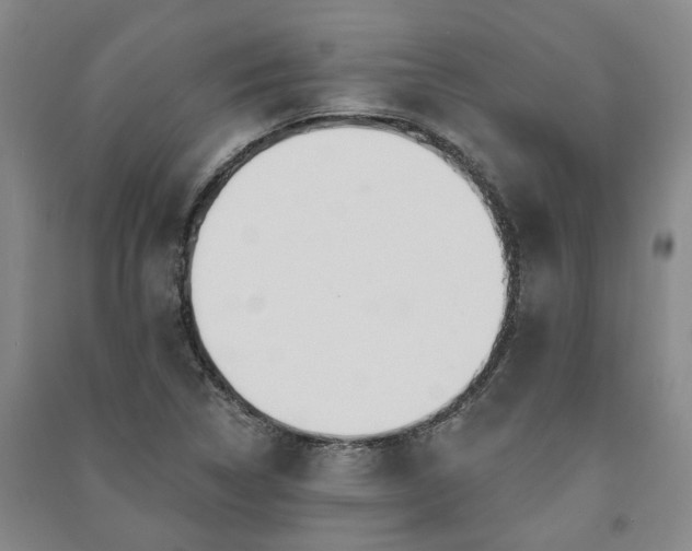 X0000091231314200708161708
