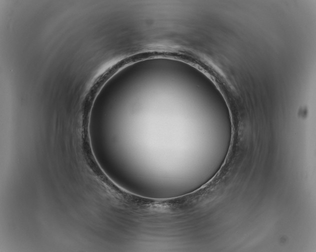 X0000091231315200708161708