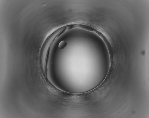 X0000091231316200708161708