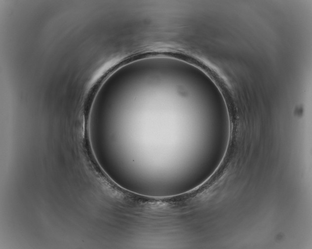 X0000091231317200708161708