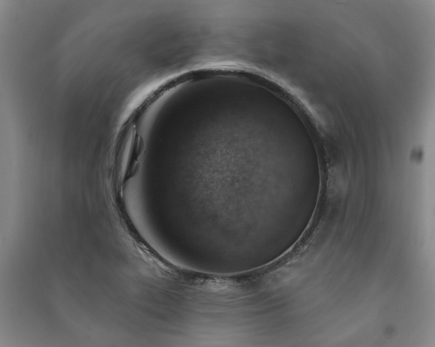 X0000091231319200708161708