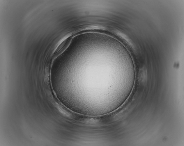X0000091231321200708161709