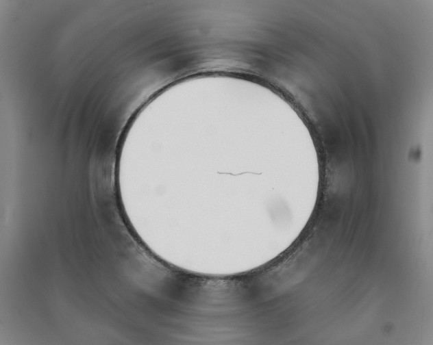 X0000091231322200708161709