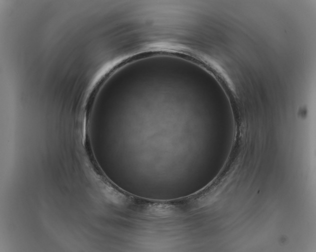 X0000091231323200708161709