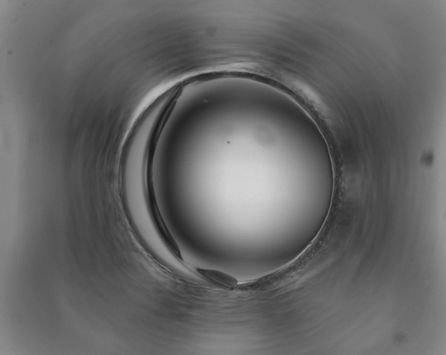 X0000091231324200708161709