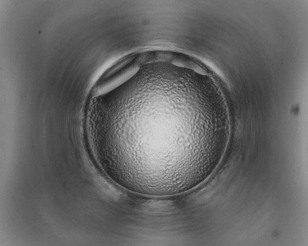 X0000091231325200708161709