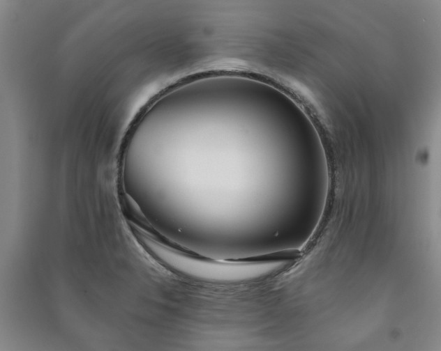 X0000091231326200708161709