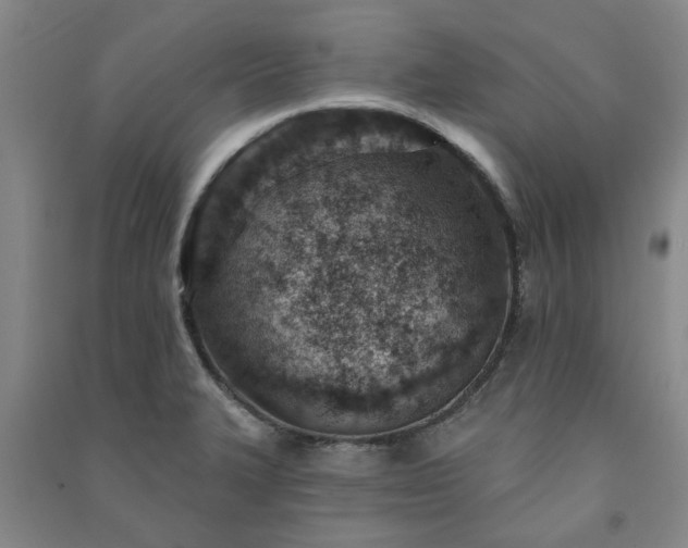 X0000091231327200708161709
