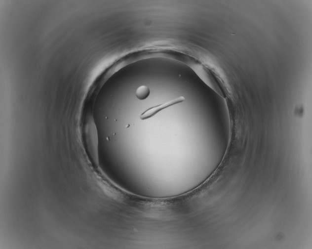 X0000091231328200708161709
