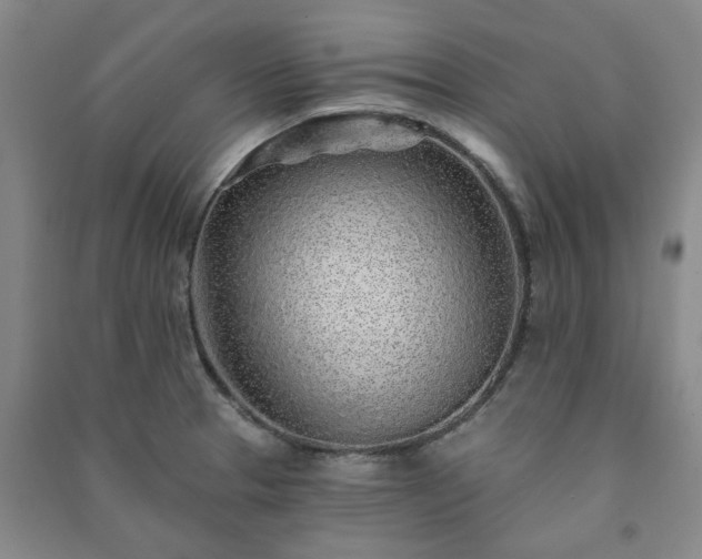 X0000091231329200708161709