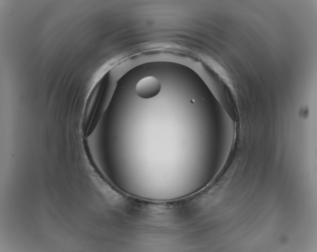 X0000091231330200708161709
