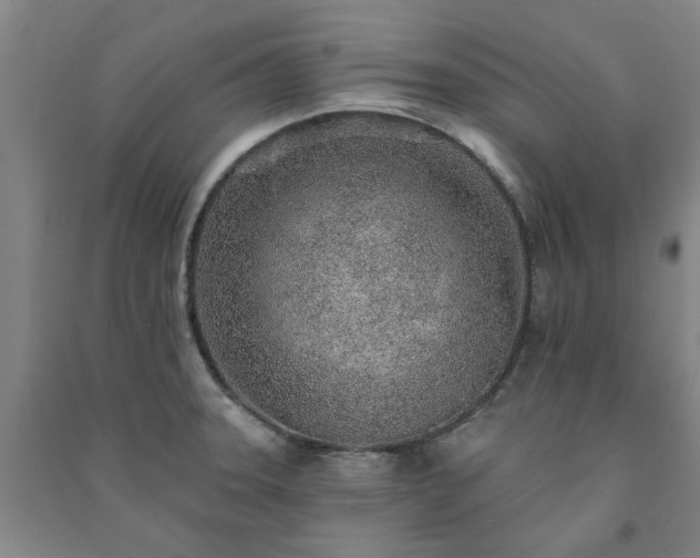 X0000091231331200708161709