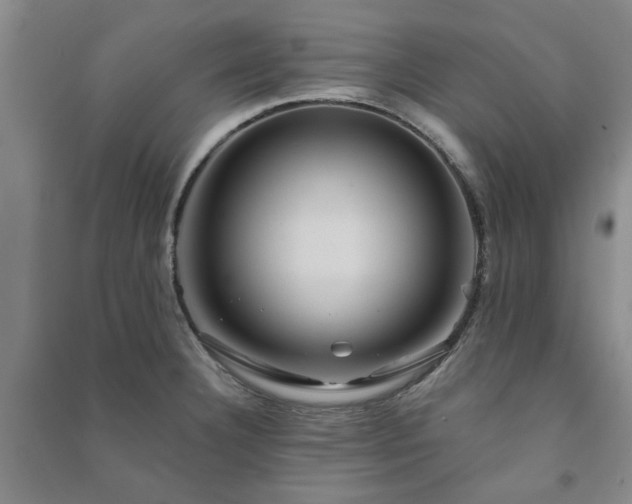 X0000091231332200708161709