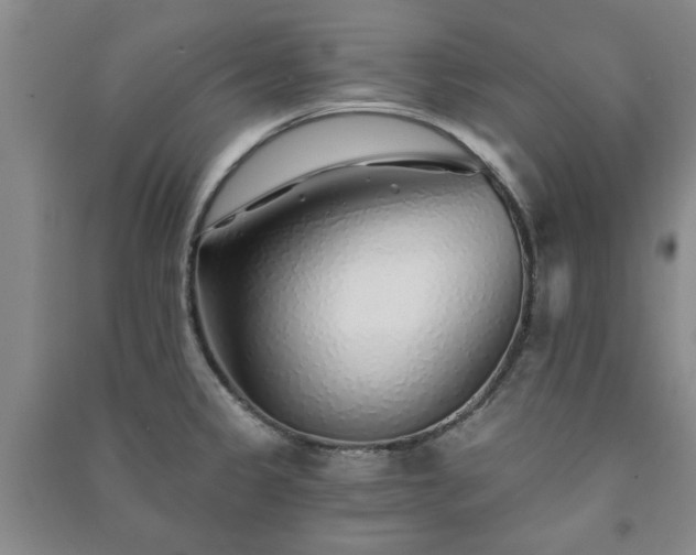 X0000091231333200708161709