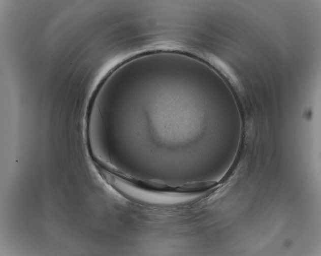 X0000091231334200708161709