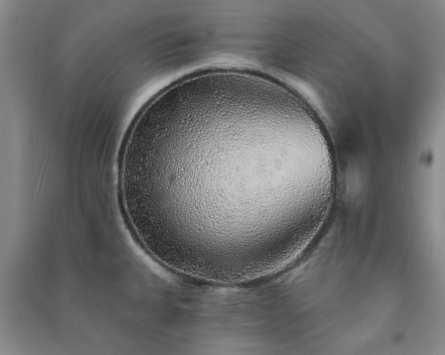 X0000091231335200708161709