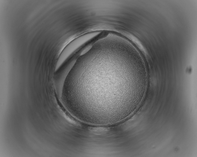 X0000091231337200708161709
