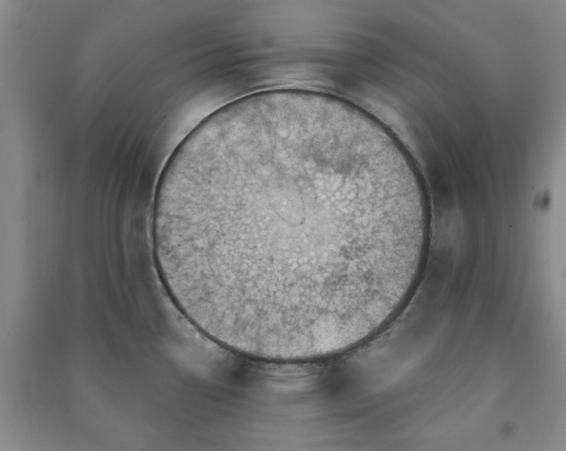 X0000091231338200708161709