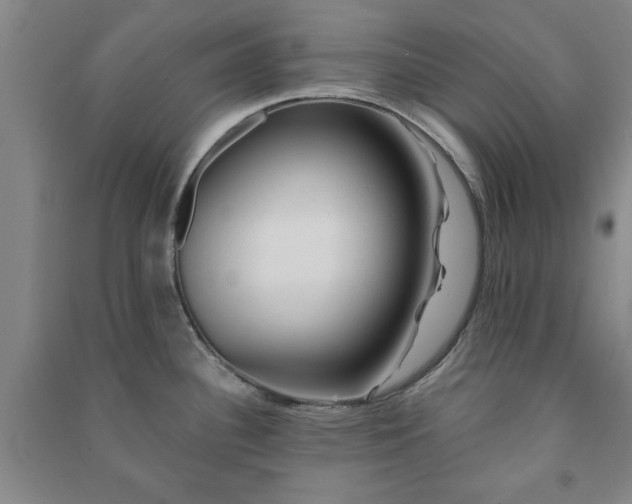 X0000091231340200708161709