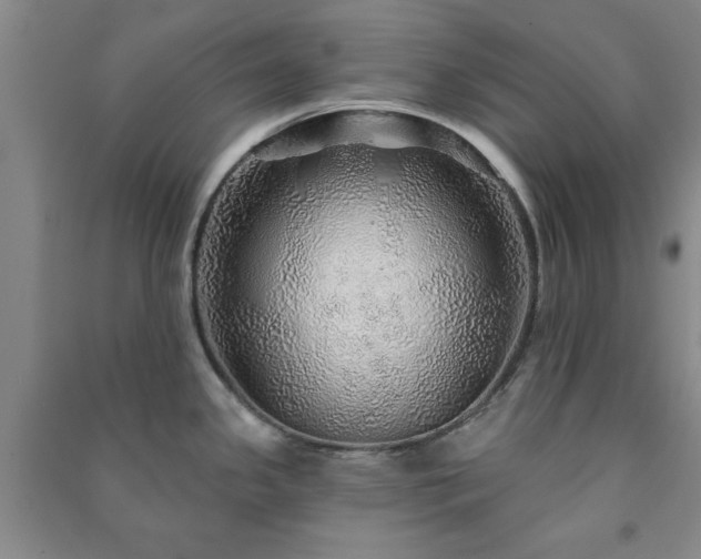 X0000091231341200708161709
