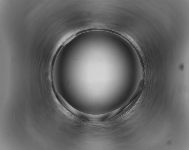 X0000091231342200708161709